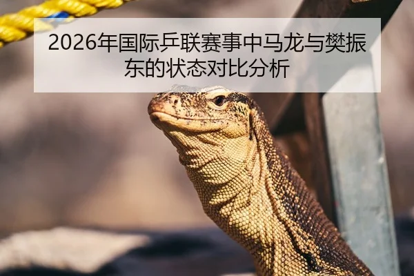 2026年国际乒联赛事中马龙与樊振东的状态对比分析