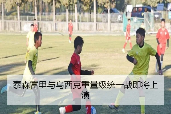 泰森富里与乌西克重量级统一战即将上演