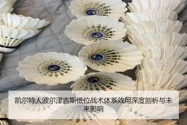 凯尔特人波尔津吉斯低位战术体系效用深度剖析与未来影响